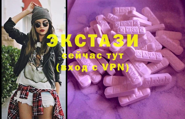 индика Бородино