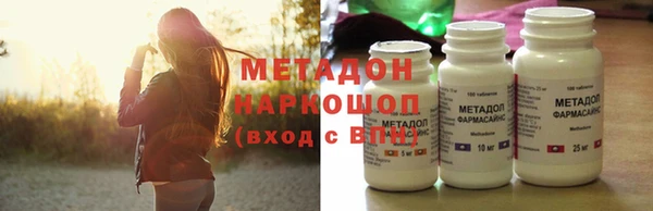 индика Бородино