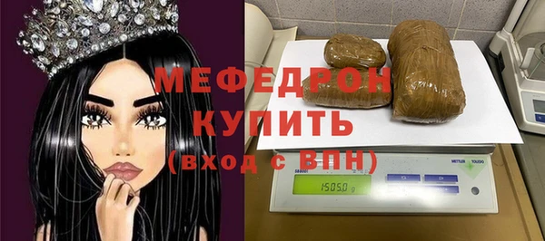 индика Бородино