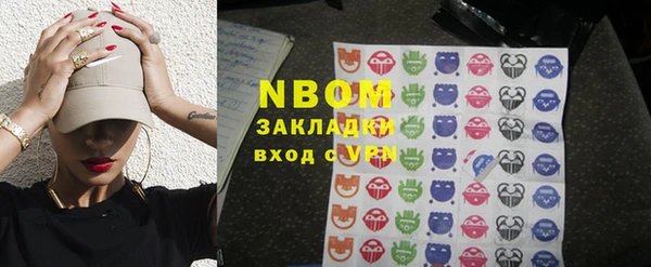 индика Бородино