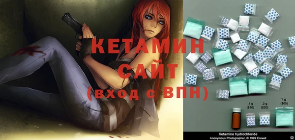 индика Бородино