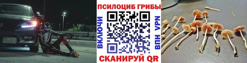 Галлюциногенные грибы GOLDEN TEACHER  наркошоп  Великий Устюг 